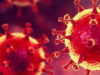 Nobel de Medicina diz que novo coronavírus surgiu em laboratório