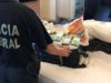 PF prende estelionatários que tentavam sacar auxílio emergencial