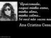Uma tarde chuvosa no corpo e na alma, na poesia dramática de Ana Cristina Cesar