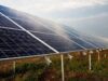 Parques solares fotovoltaicos têm consultas prévias aprovadas pela Sudene