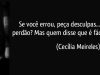 “Em que espelho ficou perdida a minha face?”, perguntou Cecília Meireles