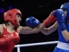 Paris-2024: Italiana desiste de luta, país sugere que adversária é mulher trans e abre crise no boxe olímpico