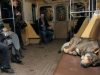 O comportamento dos cães do metrô de Moscou