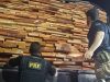 PRF apreende madeiras clandestinas vindas do Pará