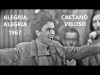 Um grito de revolta de Caetano Veloso contra a ditadura militar